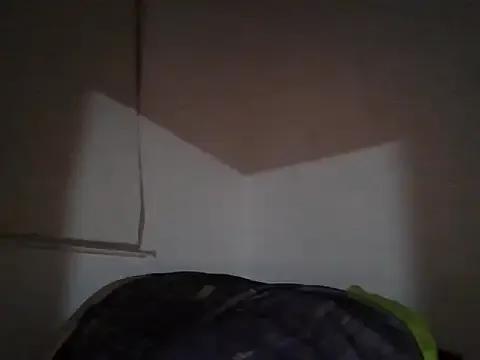 kinkyfag94 — lovense toys