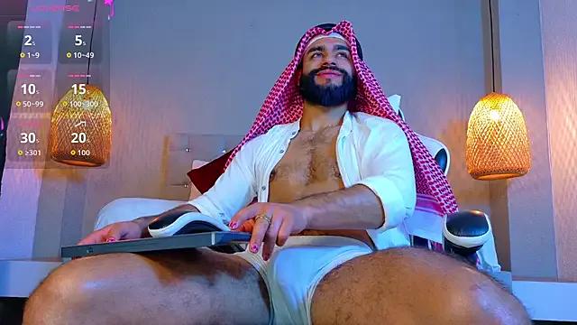 Thaiel_Fosteer — NAKED AND HARD COCK